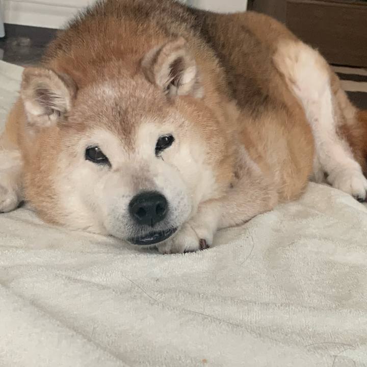 0f417324 dc26 4de9 814b c09408cf8cd6 1687561096991