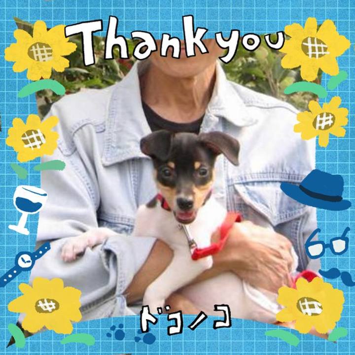 0f41a602 4fe0 4aab b985 f358096491a9 1717593221574