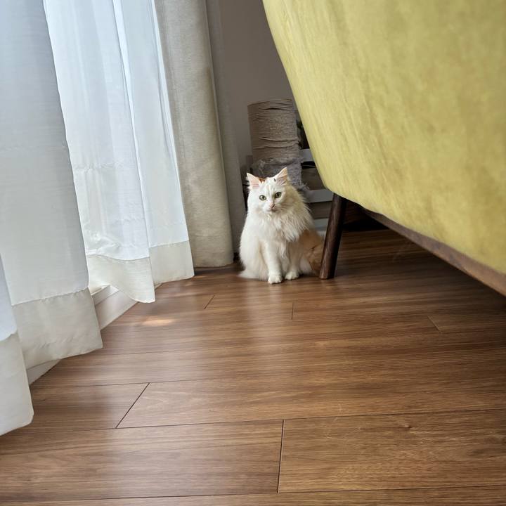 0f41c9d1 debc 4896 9586 19309bfad1a4 1772932269635