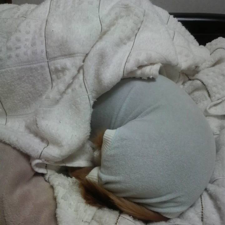 0f423c43 5062 4c60 af5c 59c09eacdd36 1541181554436