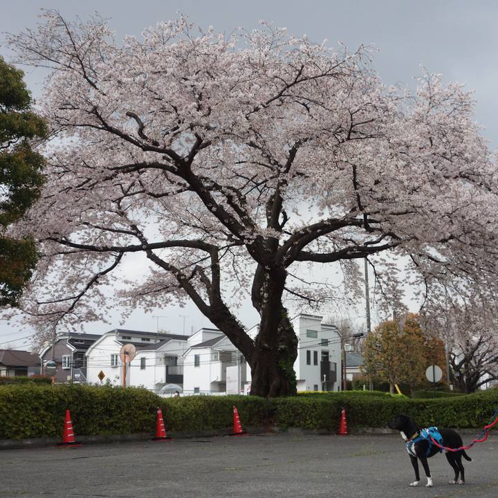 0f424e6f ddbd 4503 9d23 805cc07f2e16 1616890210622