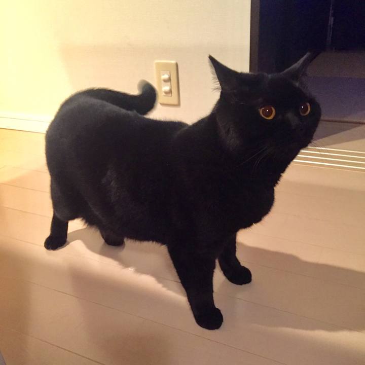 0f4270cc 92a0 40f4 9382 9a6f0b3eab0c 1525269119789