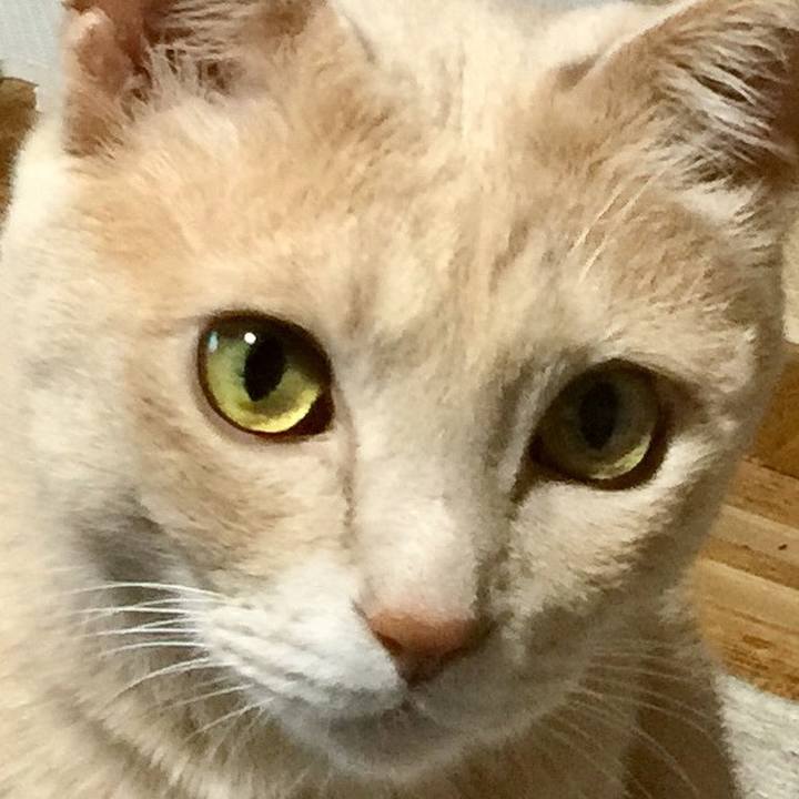 0f428172 6e87 4d2b 8c77 4490fbf4be60 1529726935583