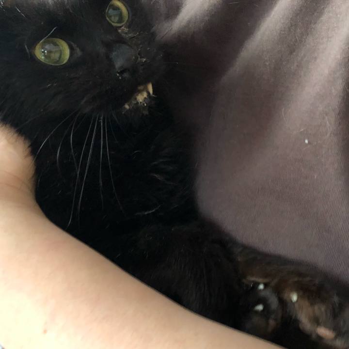 0f428dc3 a25e 41f0 ae51 52a9f7b6c0af 1646691902590