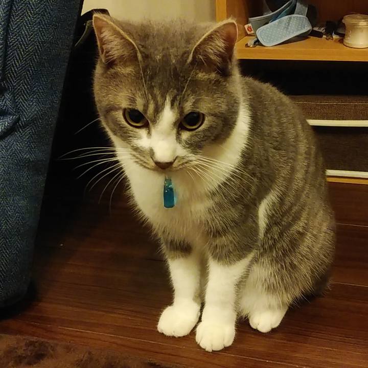 0f42d3b2 ef7c 4a2e 91c2 603cdb87c8ad 1581521369888