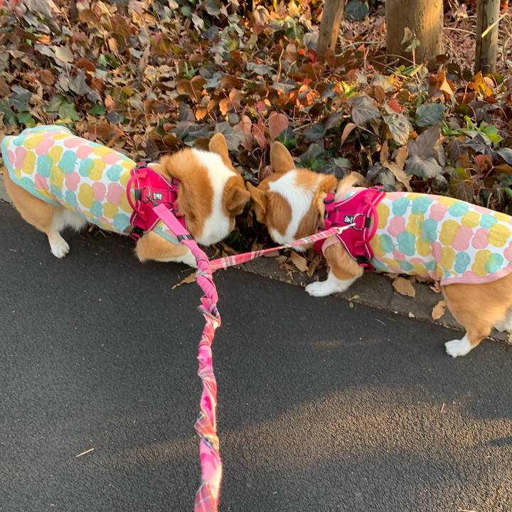 0f42ead9 e491 421a b0ec bd4f1101d4d8 1610953487134