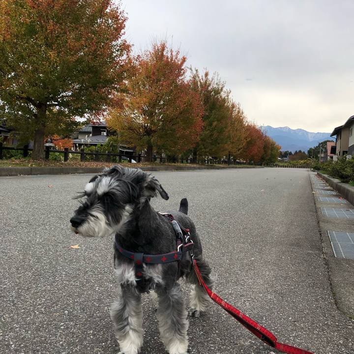 0f42ec4d b84b 4a39 b0da 5ba3a60f245e 1668303964731