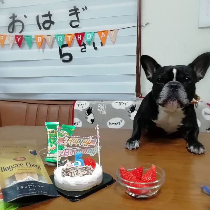 0f4331e6 a0ce 4c5b b781 15a4416770ef 1579955637181