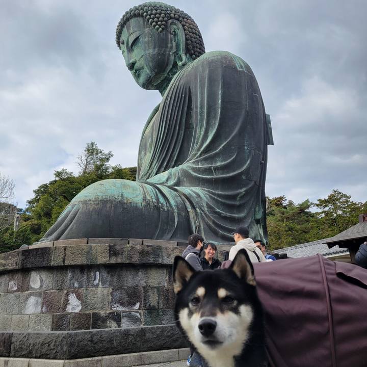 0f433de9 d2f7 4358 bb24 fb1e74d68c8a 1765250074794