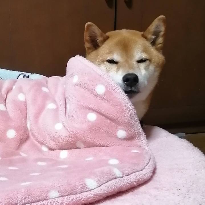 0f4371ca 023a 4d0d 8869 e2df30df910b 1681309058348