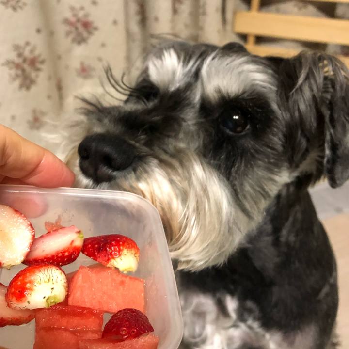 0f437380 e966 487c bfc6 90f5f761823c 1652193334954