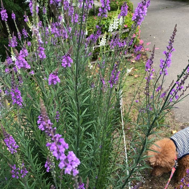 0f437bea bb87 46b3 be77 66e4652642c1 1560256272451