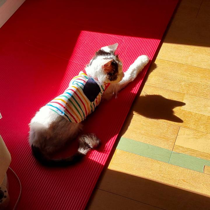 0f438fe4 2e86 4e59 8116 dfb6d7de9891 1601290842578