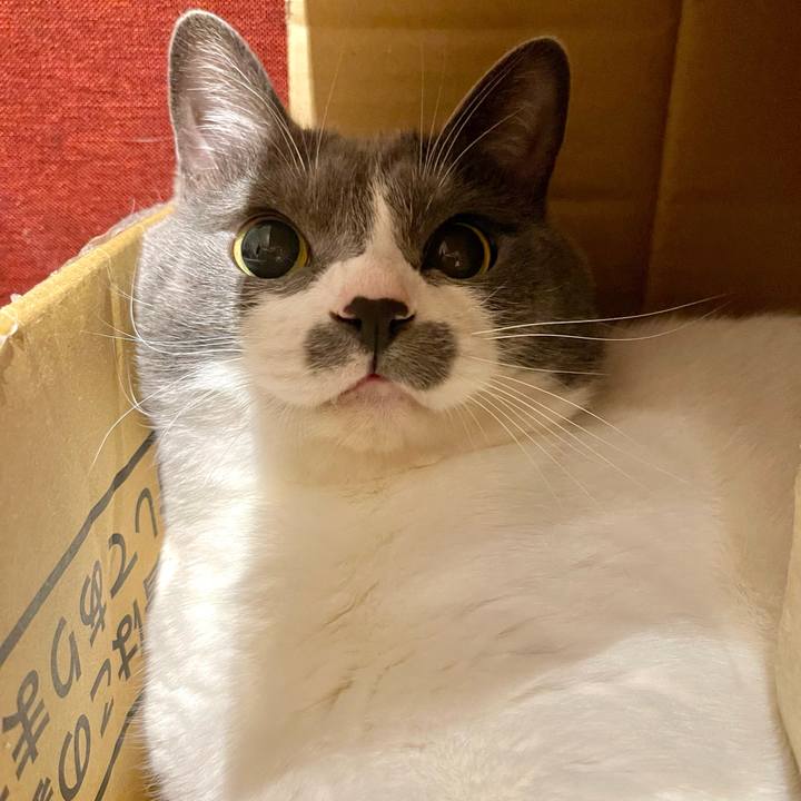 0f43a7e0 5c13 4838 a4c4 ed654097b789 1657971949663