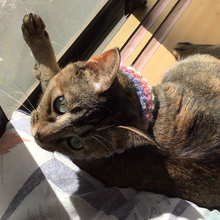 0f43ad35 2098 4d49 8c3a 3ad7b14b0c4c 1618708901014