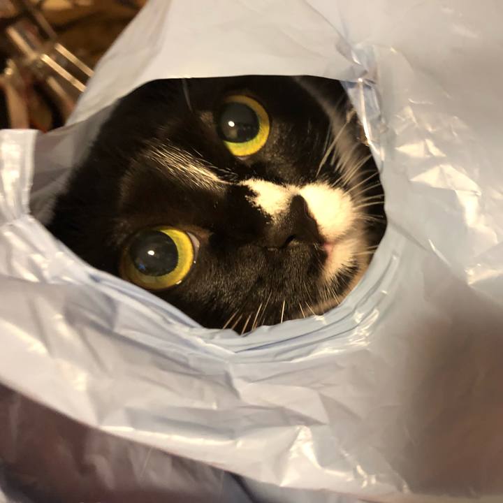 0f43d2d8 8cc0 45a2 86ba 7ca8c1b03507 1508535656929