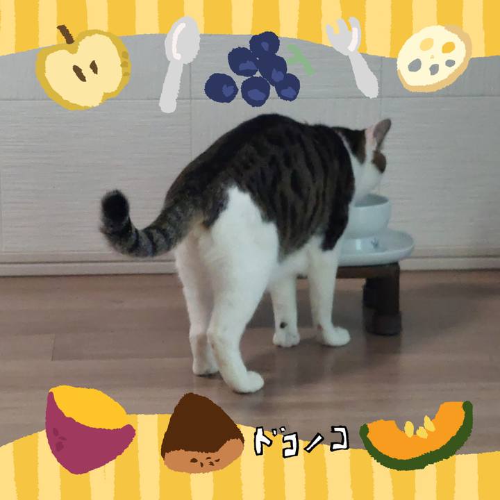 0f43dd8c 6227 4e69 8331 c945f2386607 1726956187155