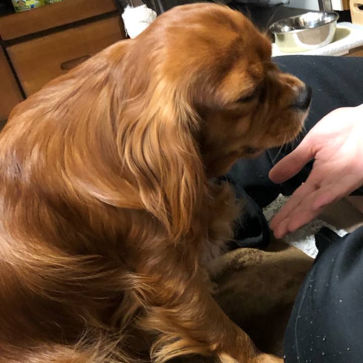 0f43e473 9cc7 42b7 bef3 77082e8ffd33 1556057972246