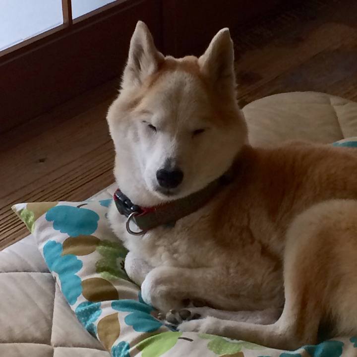 0f43e630 bec6 4764 a40d c980342a3950 1565933551625