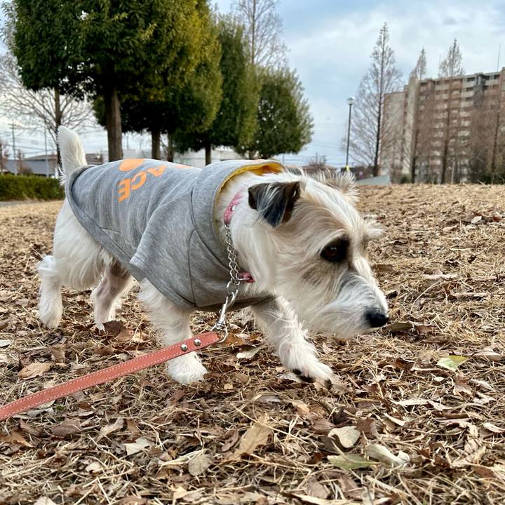 0f43eb05 17e8 43b9 9fdd 765c9628ca7a 1705151376645