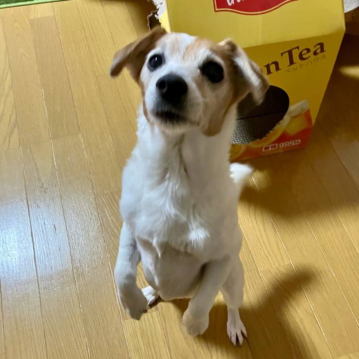 0f43ffaa 055d 47fc 92a7 5388a6db68a2 1703513301026