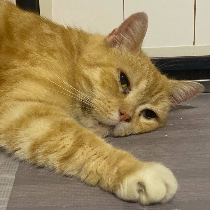 0f4401f7 9384 4b61 936e 631a2da44142 1626957200266