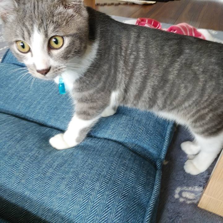 0f4415fb 2586 4f5f ada7 246a322bfdcb 1568160811579