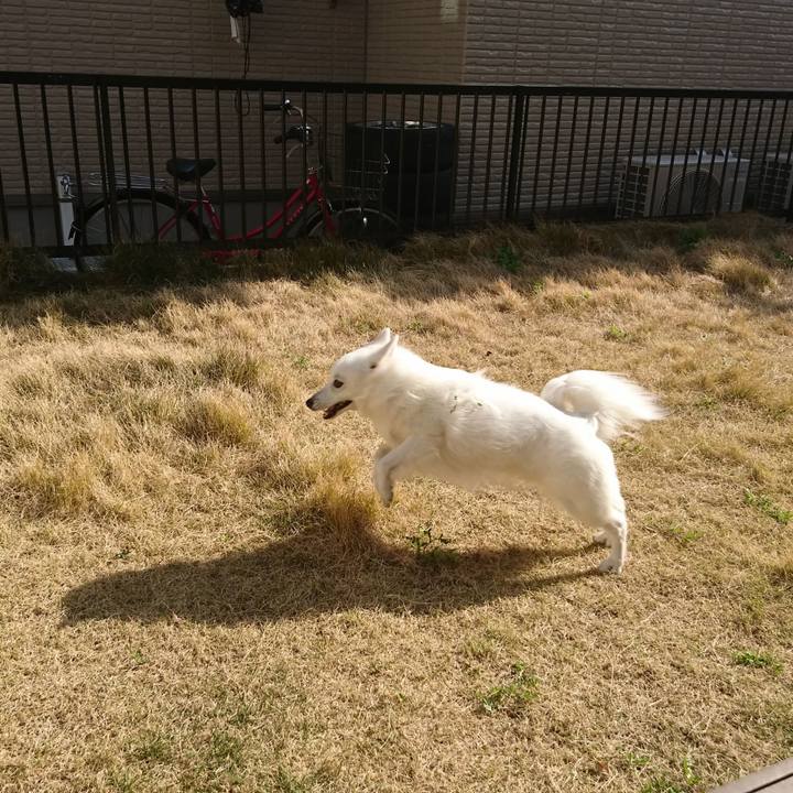 0f442b83 3e88 4d9d 8a35 038fd6568629 1586590564911