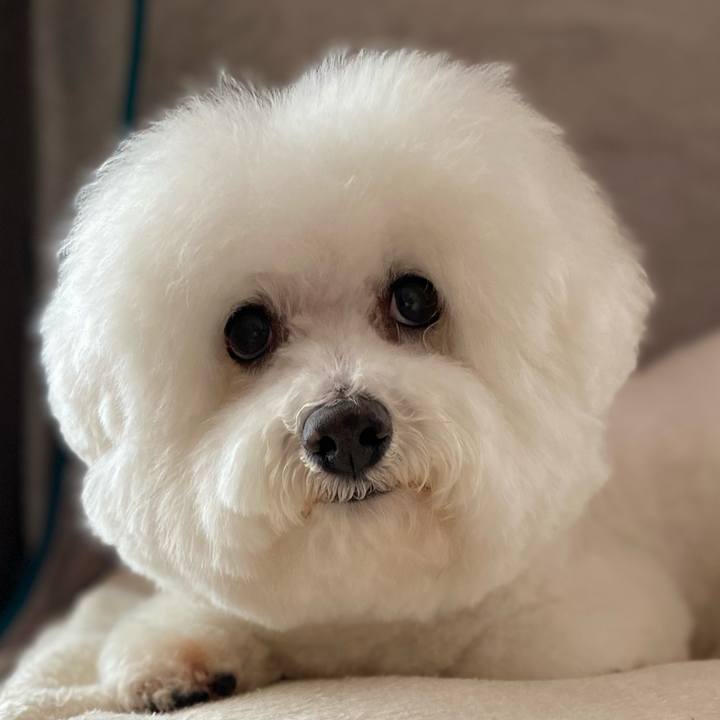 0f4434b6 6ec2 429a b1c5 27ccba056d4a 1610084156220