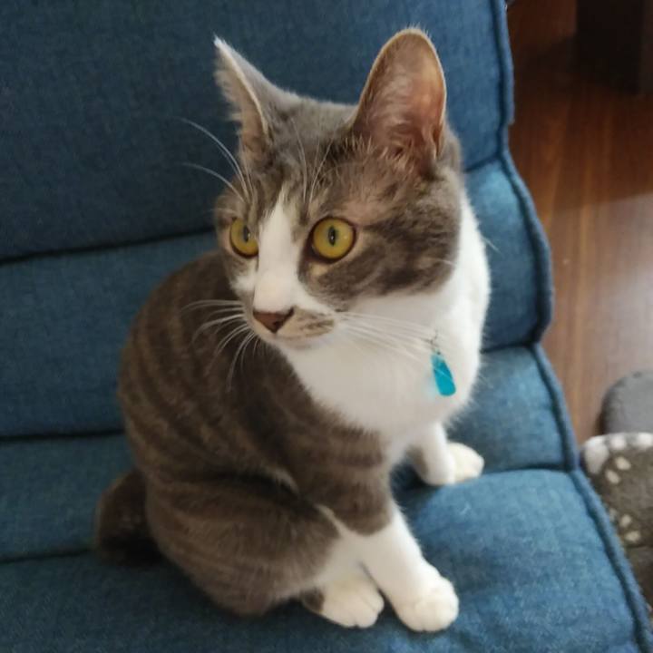 0f445d09 e929 485f 89d1 b6a2b1eb0825 1586828681860