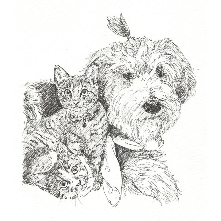 0f446913 da4a 4c2d 9fba ee3835b182da 1565741020260