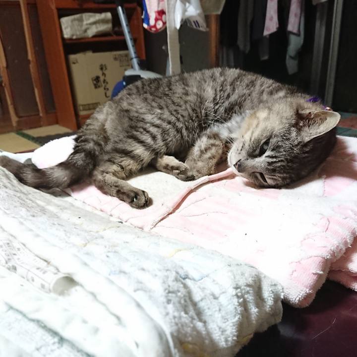 0f4475c8 937b 44dc afbf 440b08fd51c2 1592482188800