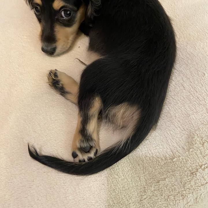 0f4495c4 88c1 45a7 864c 3ee931084068 1665231729938