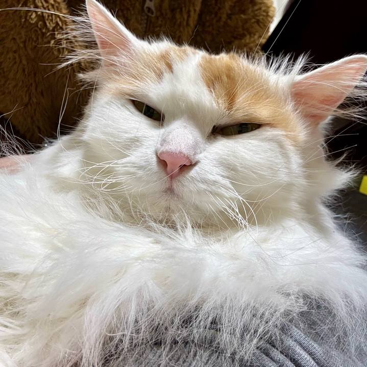 0f44d089 8ec0 4bbc 8b42 5f27b6432517 1773371927683