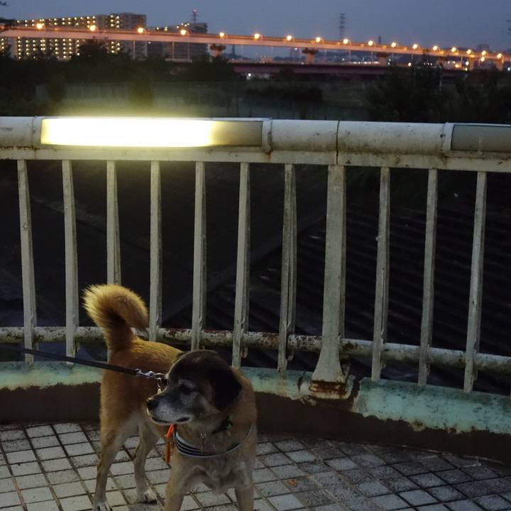 0f44d4ca 4abe 4bb7 9ed2 bfc869cd875e 1618804218378