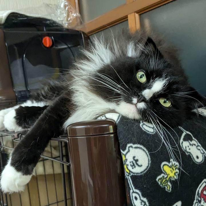 0f454b4f 66f0 4f70 a62a b00f6255ddb4 1723980265053