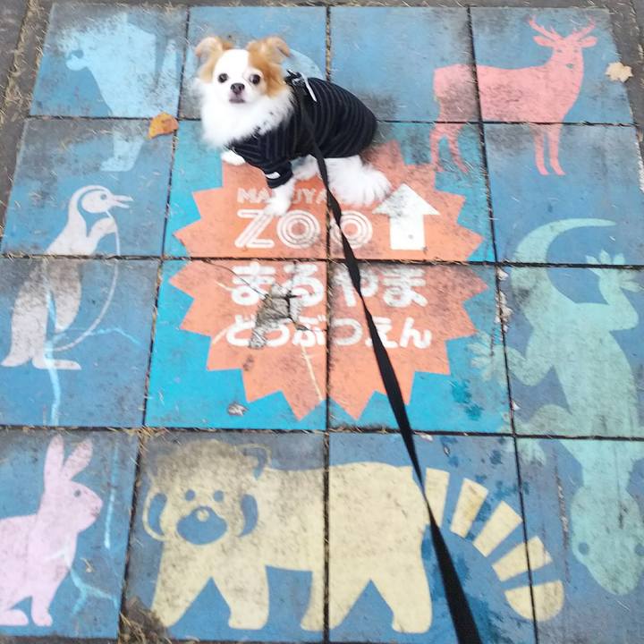 0f456f89 7362 419d 8de8 2d45869976e5 1508925489250