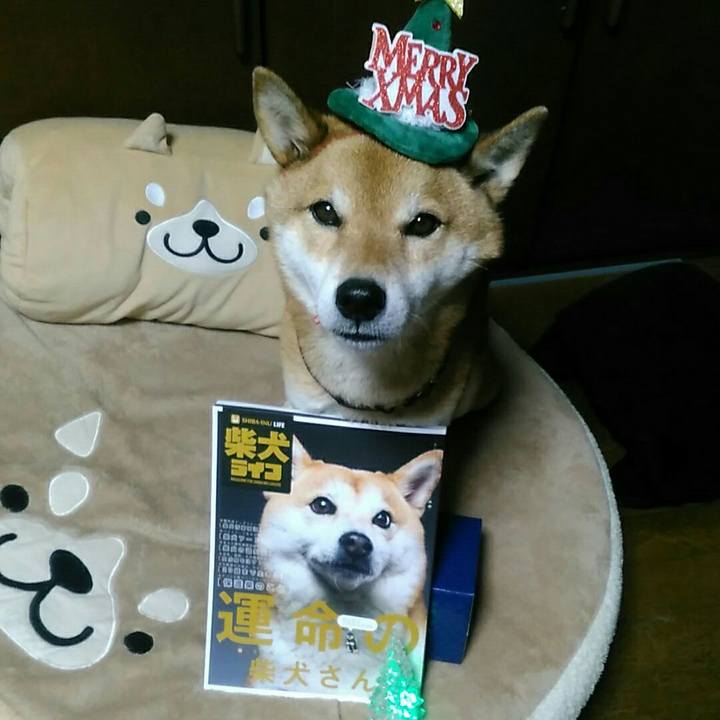 0f4582cc 37ce 4687 b275 b8c49dcd8ac7 1577192098350