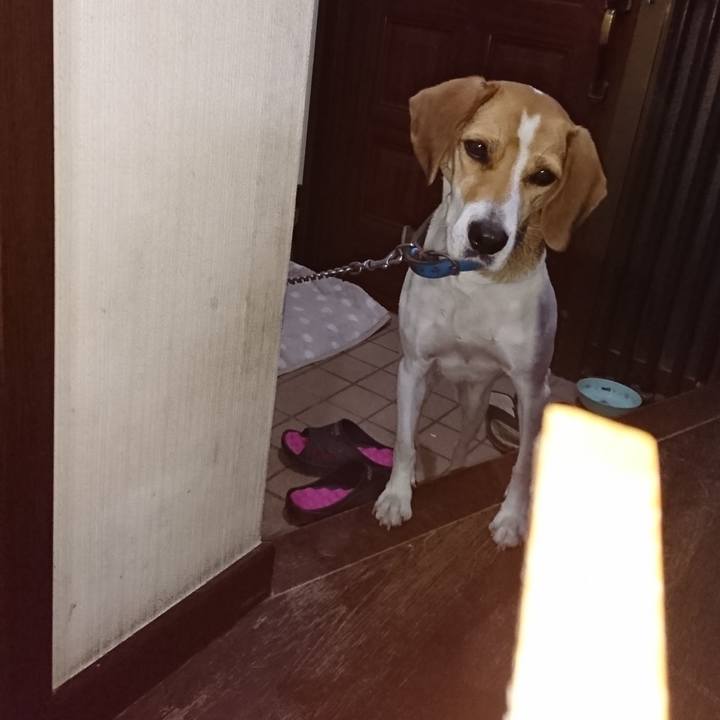 0f45943f 9ef4 4d04 be4a 8ba073cf00c3 1573820466980