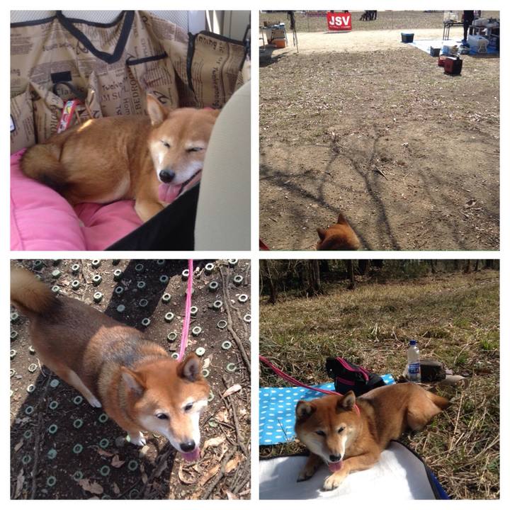 0f45b9eb fdc0 43b6 b327 7da38a7d3600 1520136255134