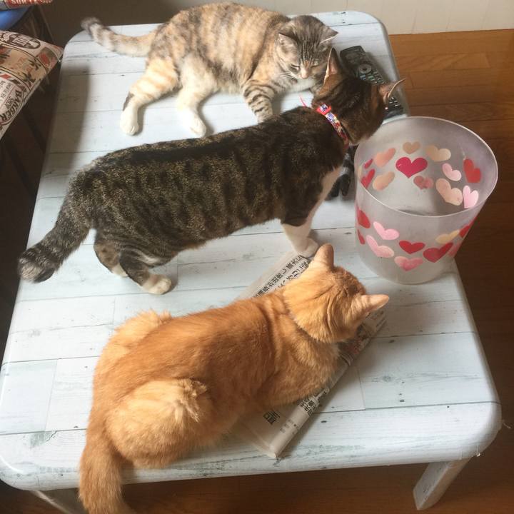 0f45bea1 86cb 4cde 9a3a 820db705cf03 1562121929675