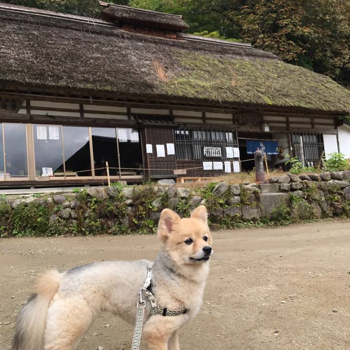 0f45da7f 3ad6 4faa b21b 92ddeb795677 1573643347494