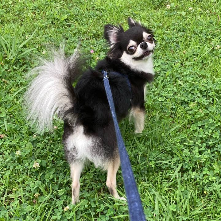 0f462740 177c 4b48 a361 9633c9a0a3df 1658148975013