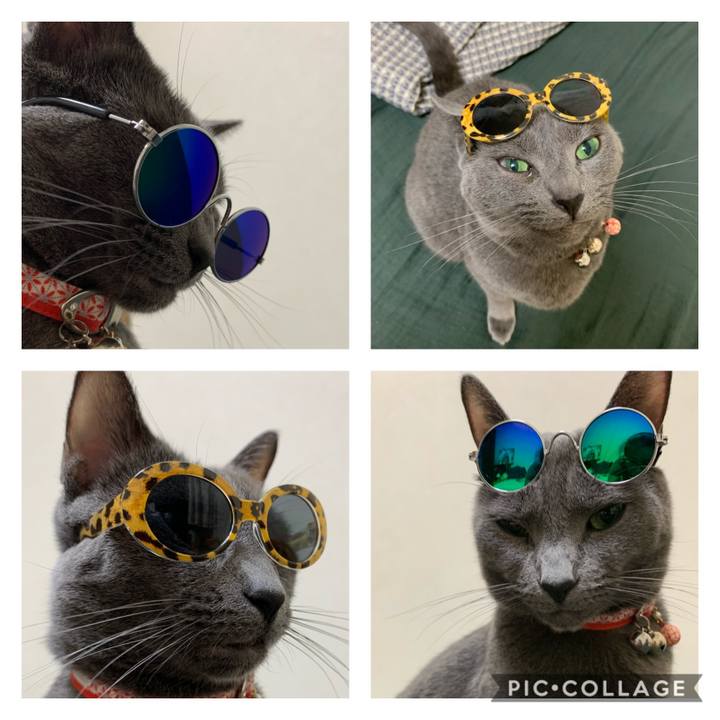 0f46299d 8be0 4ac8 8995 4e57725b6a9d 1594463377134