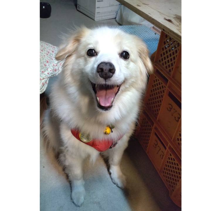 0f462c22 d574 4967 87c0 2864142d5311 1662864700695