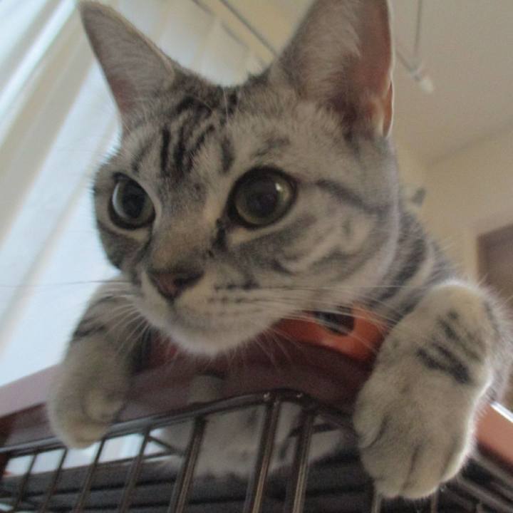 0f464dc0 9a47 459e 9afc ed86fbe83c45 1567861123521