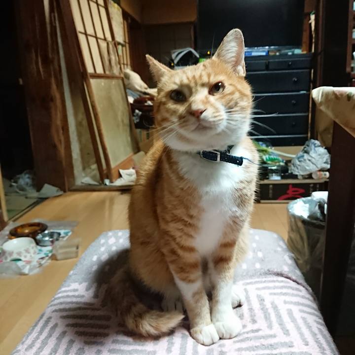 0f465962 7e36 4dbd b304 b5e06cac4caa 1602445844402