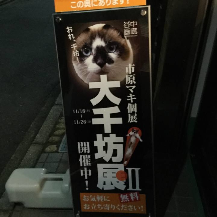 0f46699c dc4c 4d0a 95d5 4e9eac39887f 1510924209785