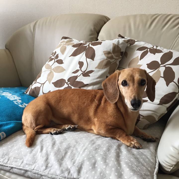 0f4682bc 82af 40bb 92d7 9f7a685fdeec 1771374829456