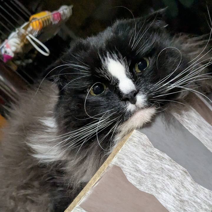 0f46868c c65e 46ee 8d6e ad1ada7acfe3 1771536643150